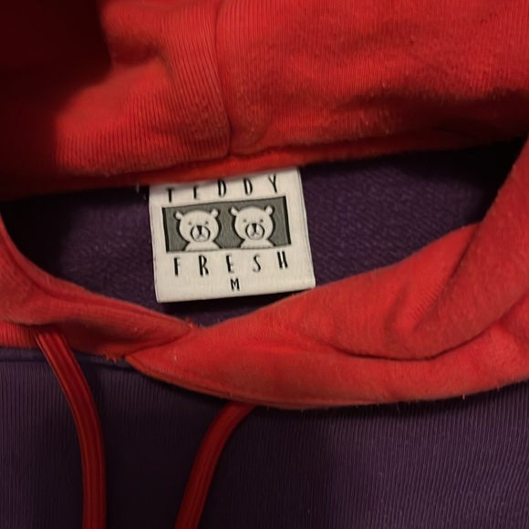 Teddy fresh hoodie size medium - Picture 3 of 4